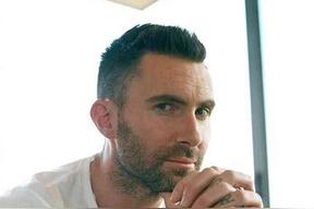 亚当&middot;莱文